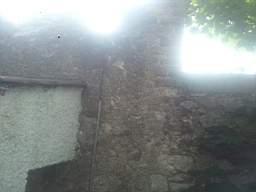 castlepark gate - 10295.jpg